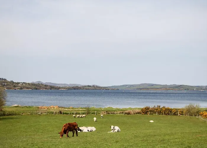 別荘 Bridgetown Kerrykeel